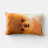 写真の腰神経の枕ギフト ランバークッション (裏面)