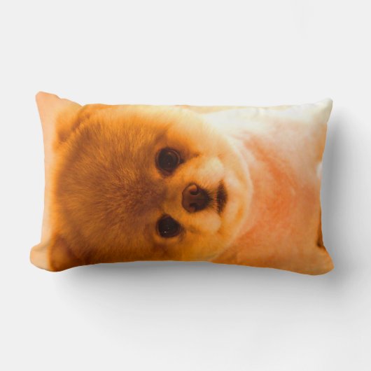 写真の腰神経の枕ギフト ランバークッション (正面)