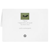 写真の芸術カード黒いハゲタカの肉食鳥 (裏面横)