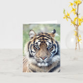 写真の虎、ペット、動物。 カード (黄色い花)