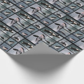 写真の複数キジラのポスター ラッピングペーパー (角)