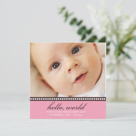 写真の誕生の発表 案内状 (スタンド正面)