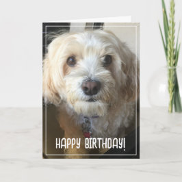 写真の誕生日カード カード