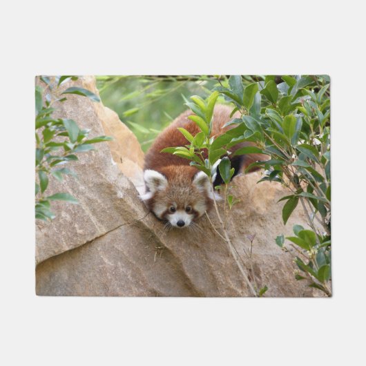 写真の赤いパンダ、動物0233。 ドアマット (正面)