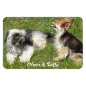 写真の追お気に入りの加 マグネット (横)