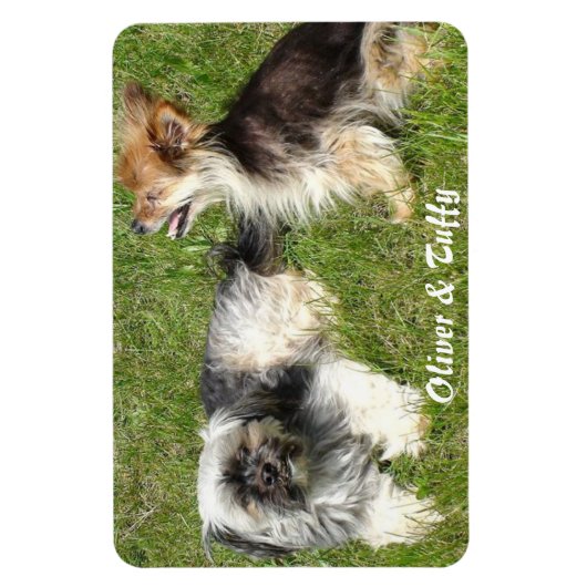 写真の追お気に入りの加 マグネット (縦)