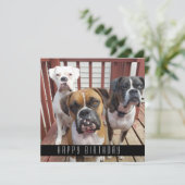 写真の追加|犬のハッピーバースデー 案内状 (スタンド正面)