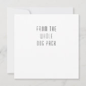 写真の追加|犬のハッピーバースデー 案内状 (裏面)