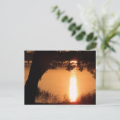 写真はがきカスタマイズ-  ポストカード (スタンド正面)