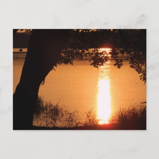 写真はがきカスタマイズ-  ポストカード (正面)