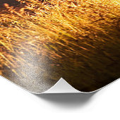 写真はこちら フォトプリント            (角)