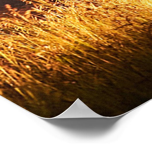 写真はこちら ポスター (角)