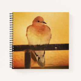 「写真は撮らないで！」 ノートブック