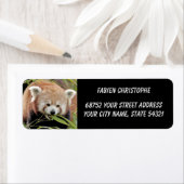 写真は赤いパンダ、動物0530。 ラベル (インサイチュ)