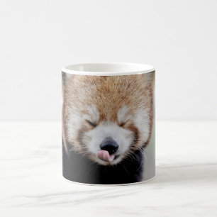 写真は赤いパンダ、動物。コーヒーマグ コーヒーマグカップ