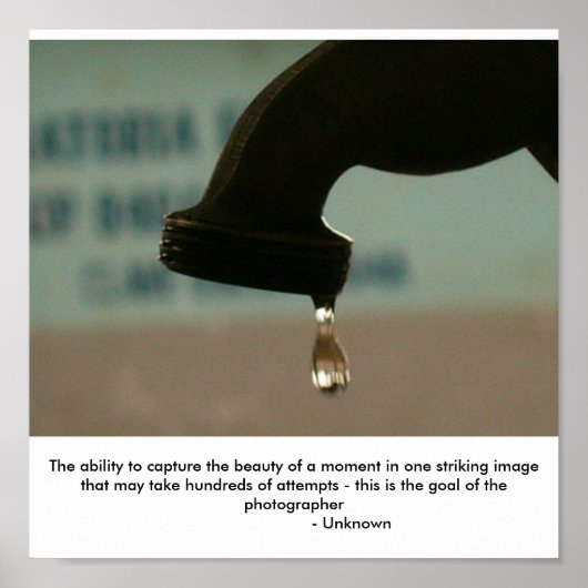 写真は… ポスター (正面)