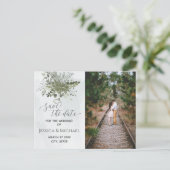 写真ほこりっぽい青い水の色の緑のユーカリ 案内ポストカード (スタンド正面)