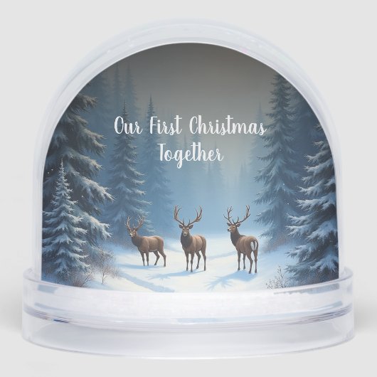 写真を使用して独自の初めてのクリスマスを作成する (正面)