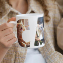 写真を切り取った猫好き