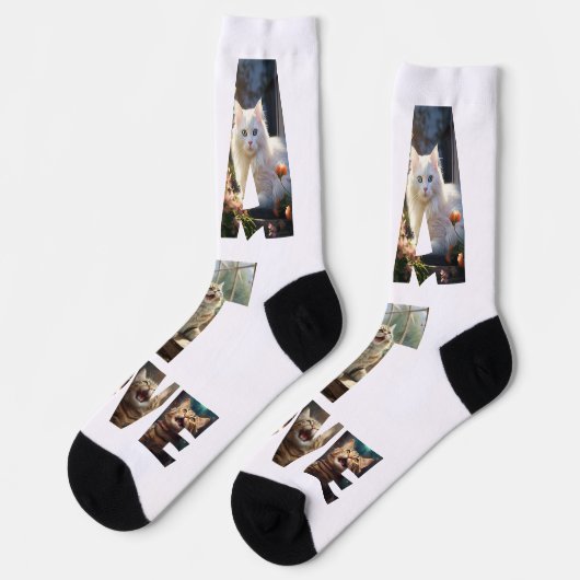 写真を切り取った猫好き ソックス (左)
