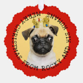 写真を追加おもしろいクリスマスキャット記念ペット オーナメントカード (正面)