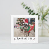 写真を追加する 犬のクリスマスから シーズンカード (スタンド正面)