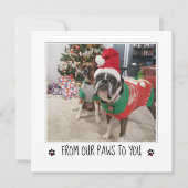 写真を追加する 犬のクリスマスから シーズンカード (正面)