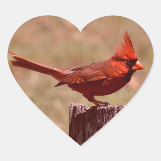 写真を追加 ハートシール (正面)