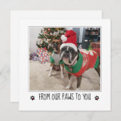 写真を追加 犬からのクリスマス シーズンカード (正面/裏面)