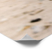 写真アート – ワイキキのアウトリガーポスター ポスター (角)