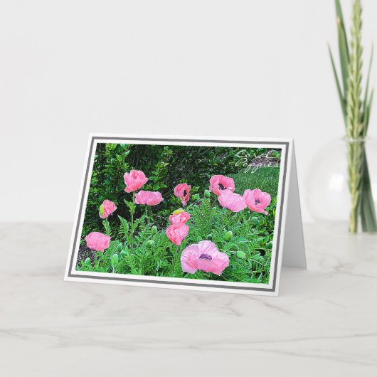 写真イレブンサンゴの色のケシが庭で カード (正面)