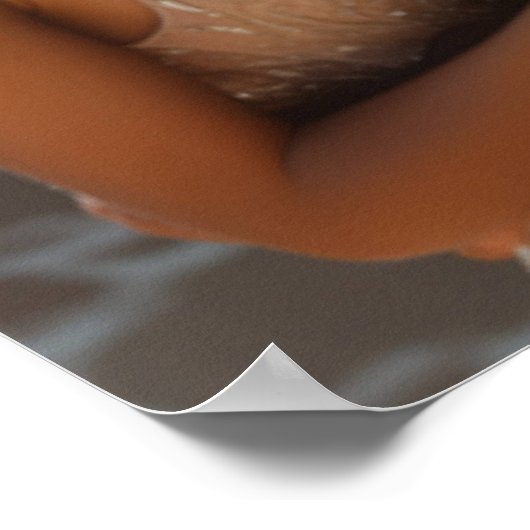 写真エレガント結婚座席表モダン ポスター (角)