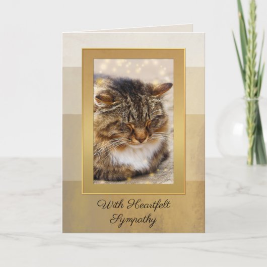 写真エレガント金ゴールドストライプの猫共感票 カード (正面)