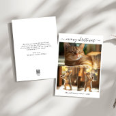 写真エレガント3枚クリスマスかわいい猫おもしろいたち シーズンカード