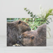 写真オブビーバースグルーミング 招待状 (スタンド正面)