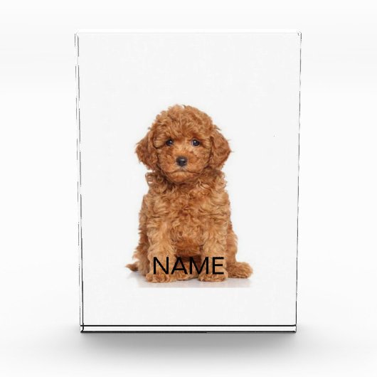 写真カスタマイズでパーソナライズ フォトブロック (正面)