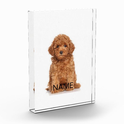 写真カスタマイズでパーソナライズ フォトブロック (左)