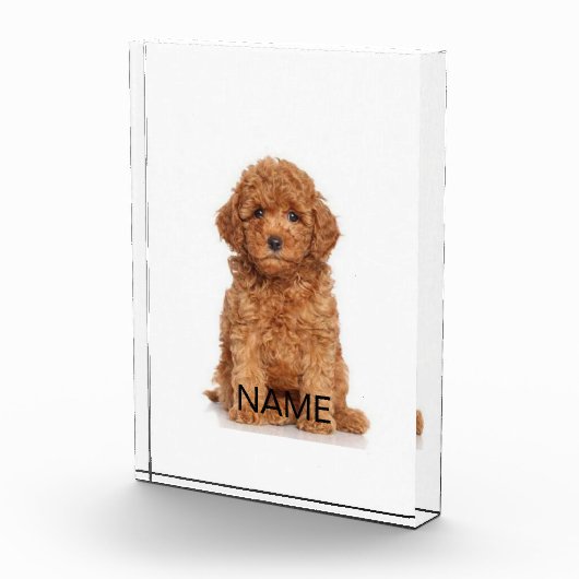 写真カスタマイズでパーソナライズ フォトブロック (右)