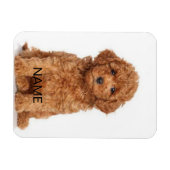 写真カスタマイズと名前でパーソナライズ マグネット (横)