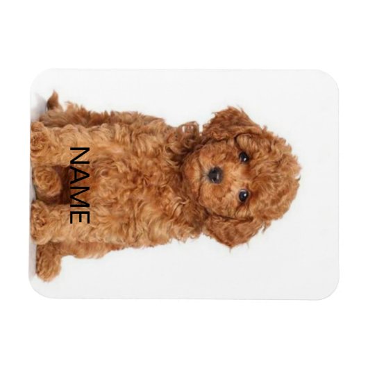 写真カスタマイズと名前でパーソナライズ マグネット (横)