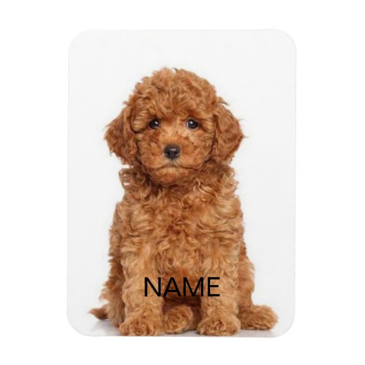 写真カスタマイズと名前でパーソナライズ マグネット (縦)