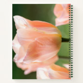 写真カスタムと文字lかわいいピンクのチューリップ ノートブック (裏面)
