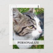 写真カスタムはがき |ここに画像を追加します ポストカード (正面/裏面)