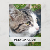 写真カスタムはがき |ここに画像を追加します ポストカード (正面)