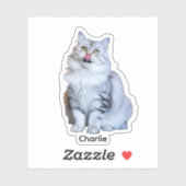 写真カスタムシール | ビニパーソナライズされたルデカール シール (シート)