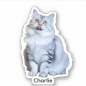 写真カスタムシール | ビニパーソナライズされたルデカール シール (正面)