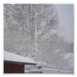 写真カスタムプリント6 X6 フォトプリント           