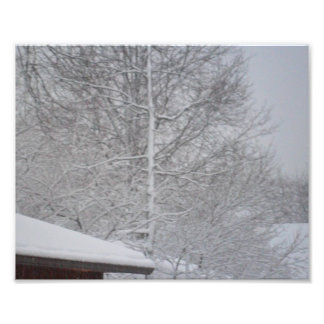 写真カスタムプリント フォトプリント           