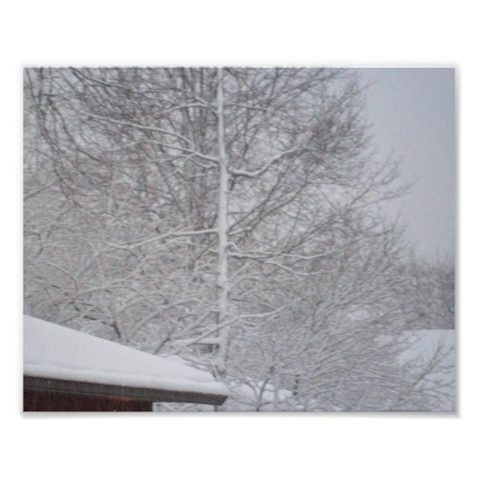 写真カスタムプリント フォトプリント            (正面)