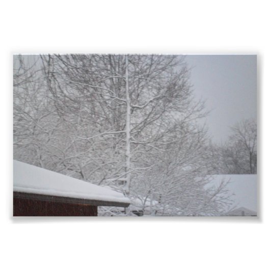 写真カスタムプリント フォトプリント            (正面)